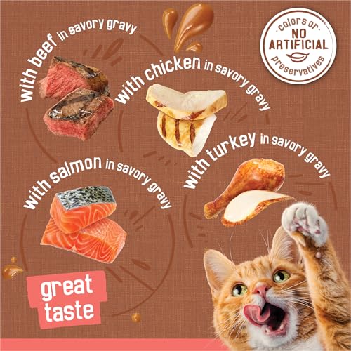 Friskies Extra Gravy Wet Cat Food Variety Pack - Image 3
