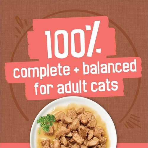 Friskies Extra Gravy Wet Cat Food Variety Pack - Image 4