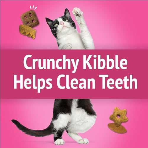 Friskies Party Mix California Crunch Chicken Treats - Image 5