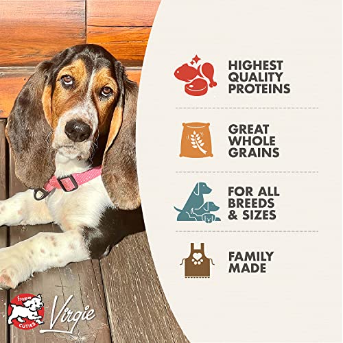 Fromm Adult Gold Premium Dry Dog Food - Image 3