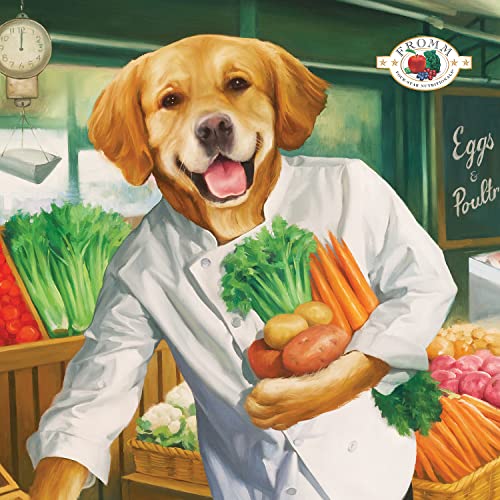 Fromm Salmon A La Veg Dog Food - 26 lb - Image 2