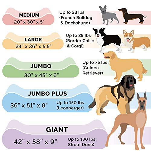 Furhaven Cooling Gel Dog Bed for Dogs - Image 5