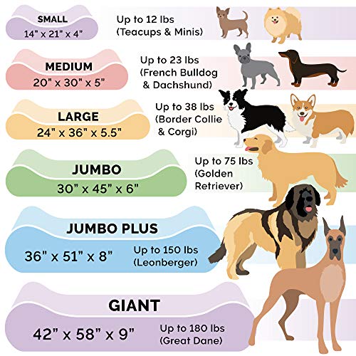 Furhaven Orthopedic Dog Bed For Large Dogs - Image 5