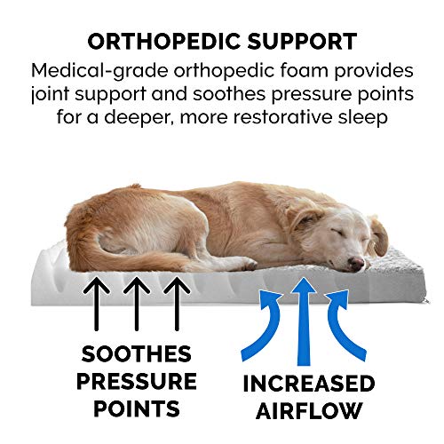 Furhaven Orthopedic Dog Bed For Large Dogs - Image 5