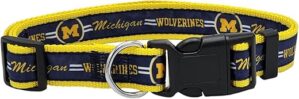 Pets First Gamecocks Dog Collar, Size Medium