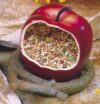 Penn-Plax Garden Cups For Small Birds Apple (BA450)