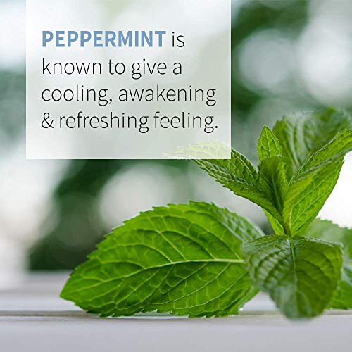 Garden of Life Peppermint Essential Oil, USDA Organic, 1 fl oz - Image 4