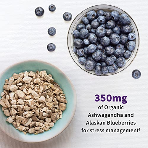 Garden of Life Probiotics Mood+ Acidophilus Supplement - Image 4