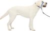 PetSafe Gentle Leader No-Pull Dog Headcollar