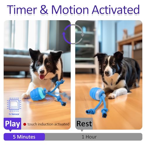 Giociv Interactive Motion Activated Dog Ball - Image 3