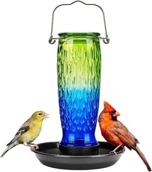 Kingsyard Glass Bird Water Feeder, 24 Ounce