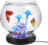 hygger Glass Fish Bowl With LED Light