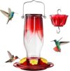 Kingsyard Glass Hummingbird Feeder 6 Ports, 16 Oz