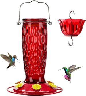 Kingsyard Glass Hummingbird Feeder With Ant Moat