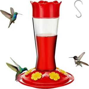 Kingsyard Glass Hummingbird Feeder With Bee Guards