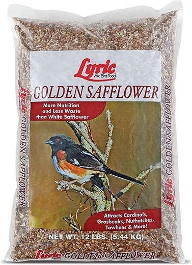 Lyric Golden Safflower Seed - Attracts Birds