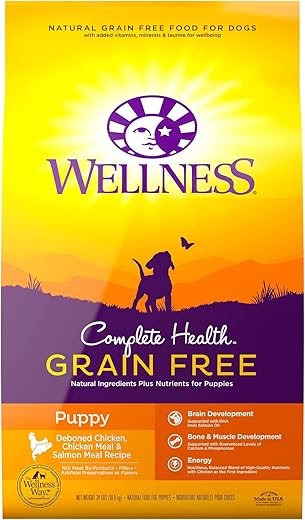 Wellness Grain Free Dry Puppy Food, Chicken & Salmon