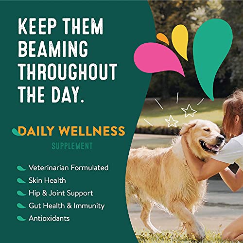 HAPPY GO HEALTHY Wellness Supplements For Dogs' Immune Support - Image 4
