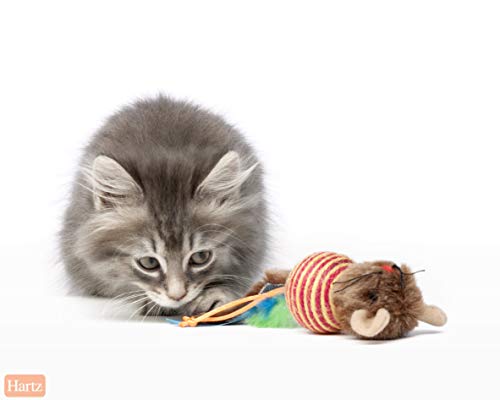 Hartz Roll About Mouse Catnip Toy, 3270014950 - Image 5