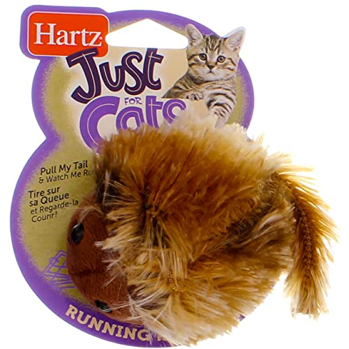 Hartz Running Rodent Cat Toy 10423 - Image 2