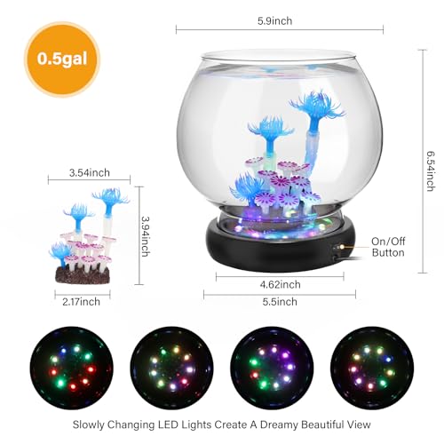 hygger Glass Fish Bowl With LED Light - Image 3