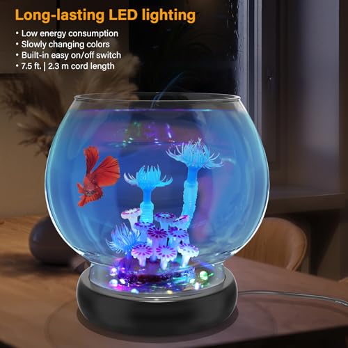 hygger Glass Fish Bowl With LED Light - Image 4