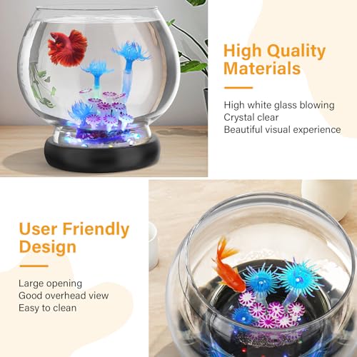 hygger Glass Fish Bowl With LED Light - Image 5