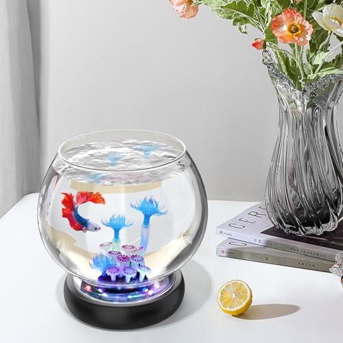 hygger Glass Fish Bowl With LED Light - Image 2