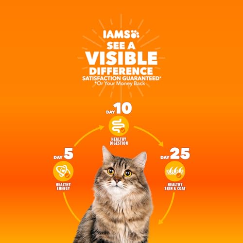 Iams Healthy Kitten Dry Cat Food, Chicken - Image 3
