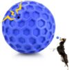 DISSKNIC Indestructible Squeaky Dog Ball Toy