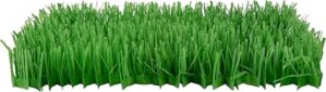 SmartyKat Instincts Meadow Mayhem Hide & Seek Cat Mat