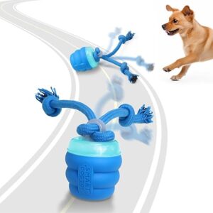 Giociv Interactive Motion Activated Dog Ball