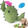 Barkbox Interactive Plush Dog Toy – Consuela Cactus