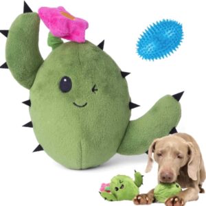 Barkbox Interactive Plush Dog Toy – Consuela Cactus