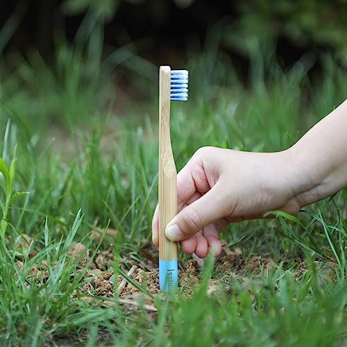 Isshah Kids Bamboo Toothbrushes BPA Free, Pack Of 6 - Image 5