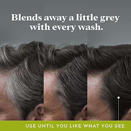 Just for Men Control GX Grey Reducing Shampoo, Gradual Color, 4 Fl Oz - Image 3