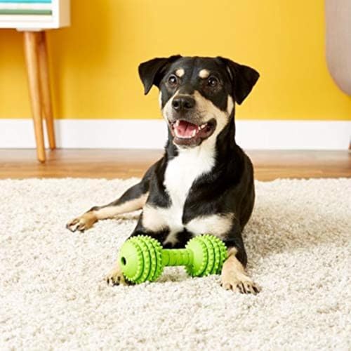 JW Chompion Heavyweight Dog Chew Toy, Small Breeds - Image 5