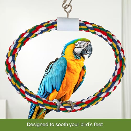 JW Swing N' Perch, Large - Image 3