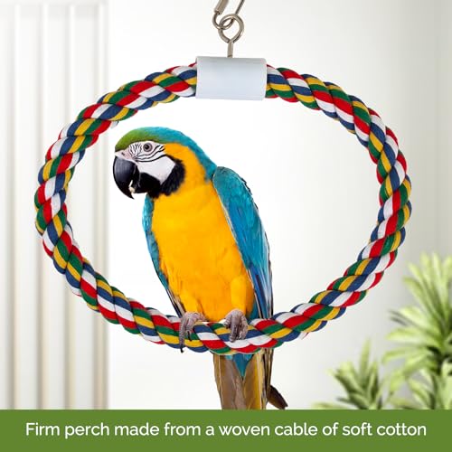 JW Swing N' Perch, Large - Image 5