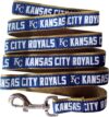 Pets First Kansas City Royals Large Dog Collar