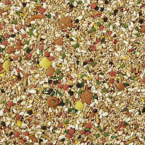 Kaytee Forti-Diet Pro Health Bird Food, 4 Pound - Image 3