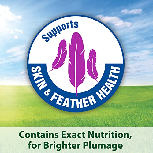 Kaytee Forti-Diet Pro Health Bird Food, 4 Pound - Image 5