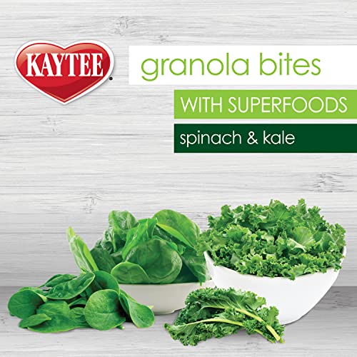 Kaytee Granola Bites With Super Foods Spinach & Kale For Pet Birds - Image 3