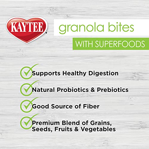 Kaytee Granola Bites With Super Foods Spinach & Kale For Pet Birds - Image 4