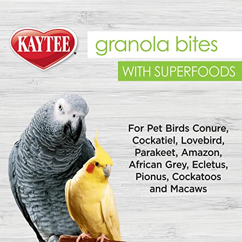 Kaytee Granola Bites With Super Foods Spinach & Kale For Pet Birds - Image 5