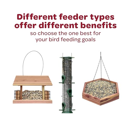 Kaytee Supreme Wild Bird Food 25 Pounds - Image 3