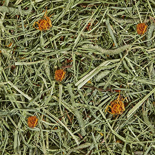 Kaytee Timothy Hay With Marigolds, 24 Ounce - Image 2
