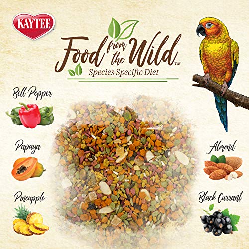 Kaytee Wild Natural Conure Bird Food, 2.5 Pound - Image 4