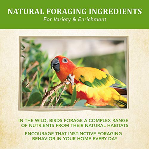 Kaytee Wild Natural Conure Bird Food, 2.5 Pound - Image 5