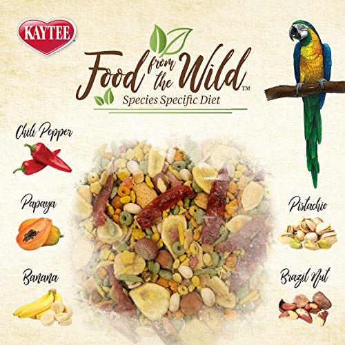 Kaytee Wild Natural Macaw Bird Food, 2.5 Pound - Image 4